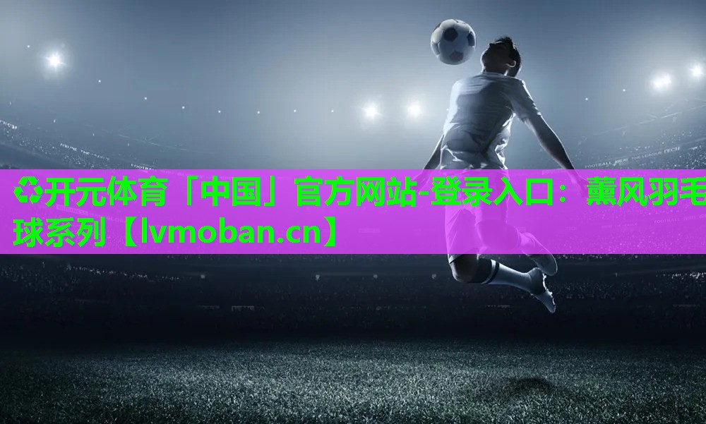 薰风羽毛球系列