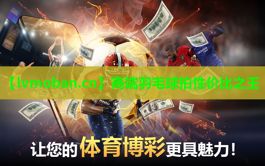 高端羽毛球拍性价比之王